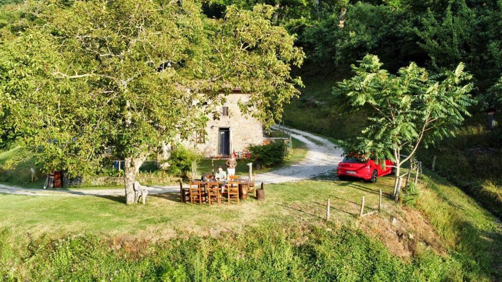 Holiday home Mimmo's House San Godenzo