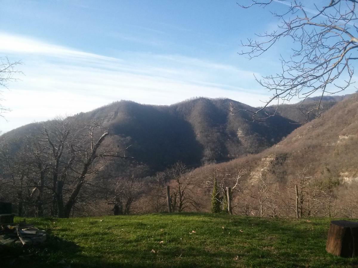 Holiday home Mimmo's House San Godenzo